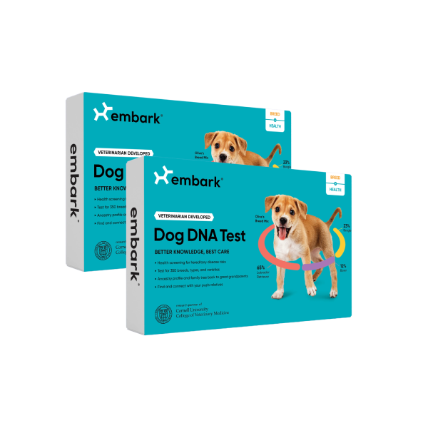 Embark dog DNA test kits